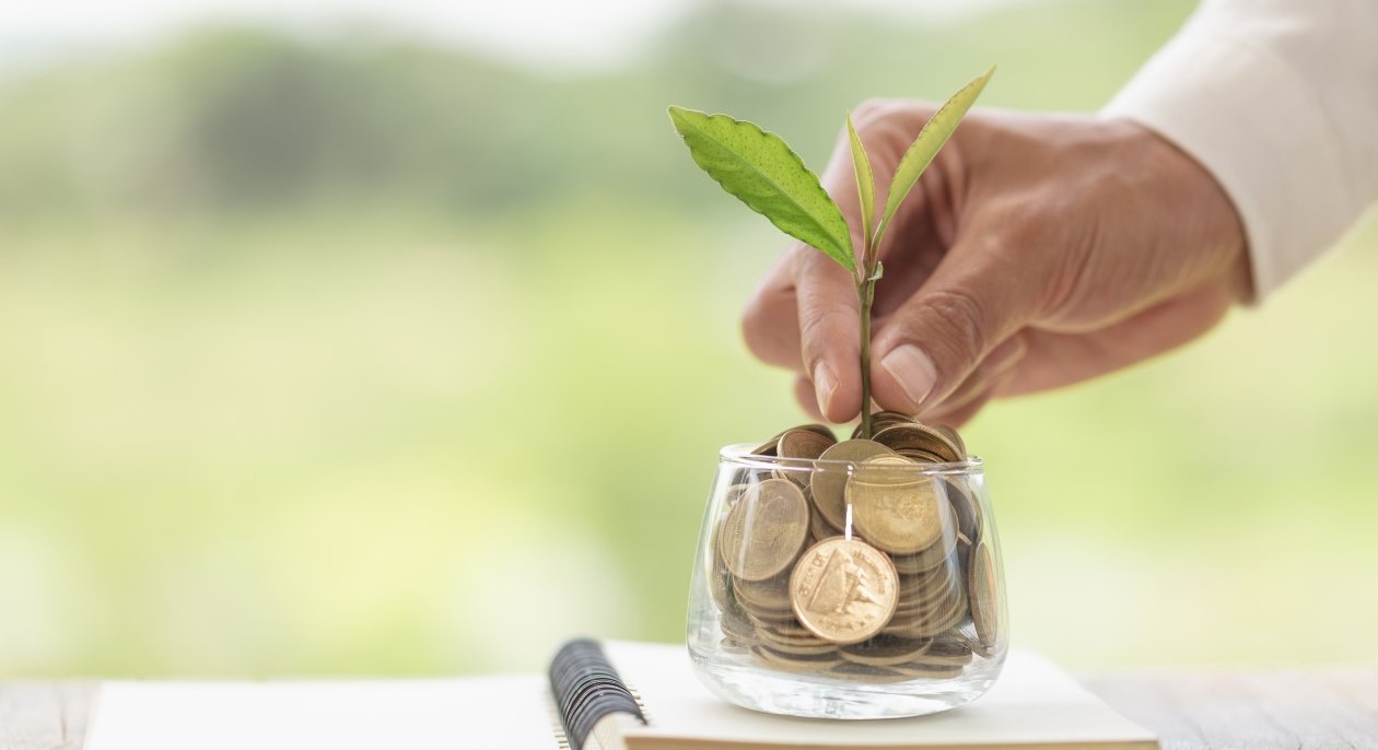 Plant growing in Coins glass jar for money saving